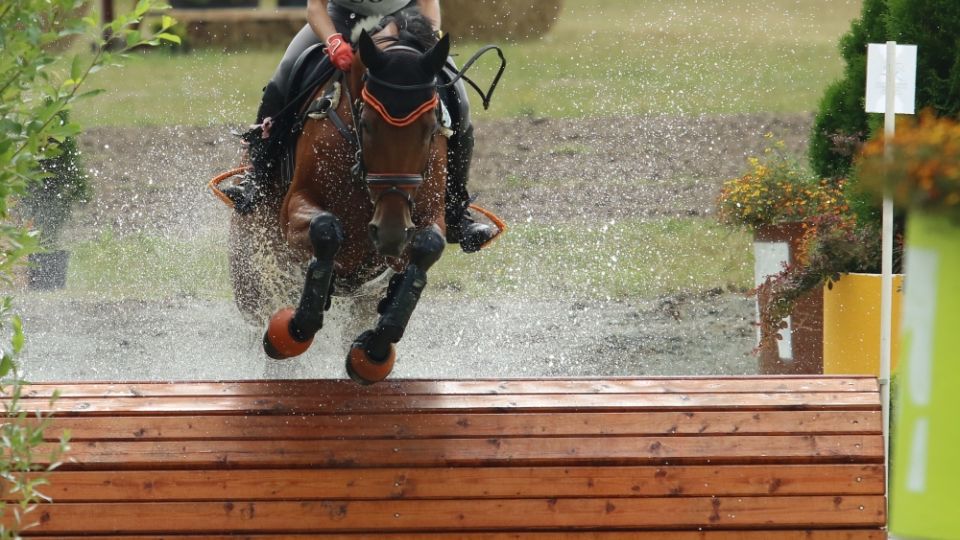 Michael Jung neustále ve vedení FEI žebříčku