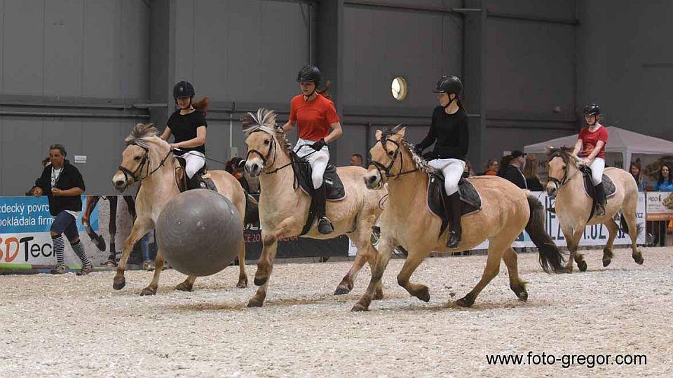 FOR HORSE 2019 představí trendy oboru i galashow
