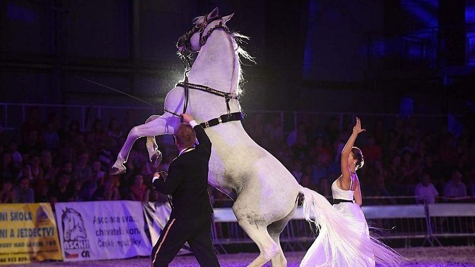 Živě na EquiTV.cz: Večerní koňská galashow při výstavě Kůň 2020 v Lysé
