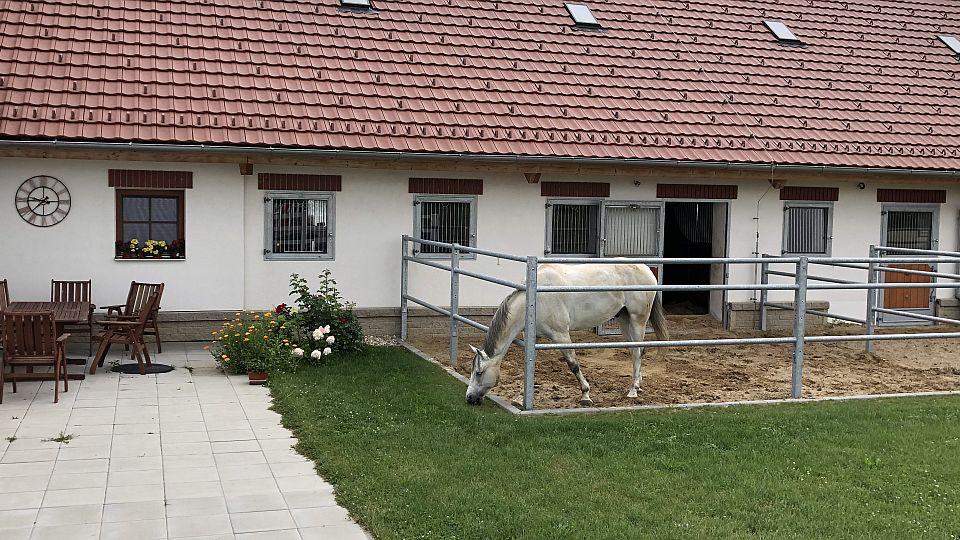 Stáj Hošková: Krásná příroda, jezdecký sport, hlavně však splněný sen
