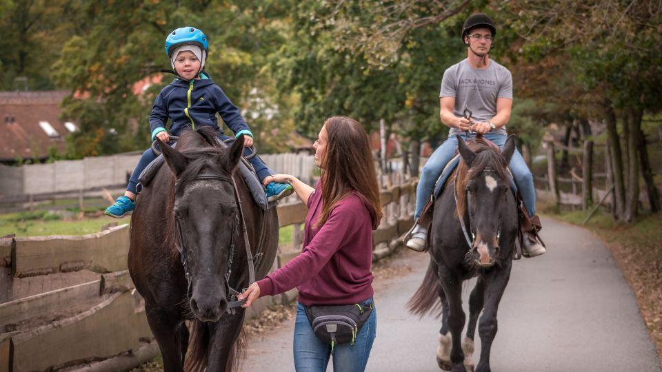 Zimou sezona nekončí. Pardubicko zve k návštěvě a projížďkám na koních
