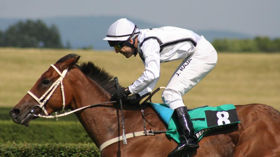 Dvouleté klisny opět v Pardubicích. Sobotě vévodí Cena zimní královny