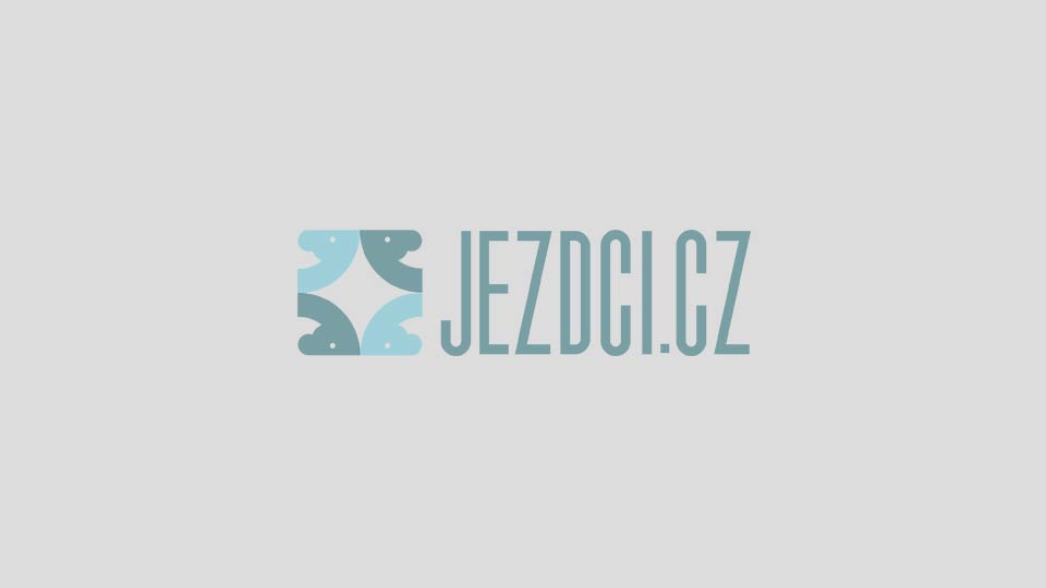 Ve Frenštátu se při Svatomartinském poháru bude soutěžit i o živou husu