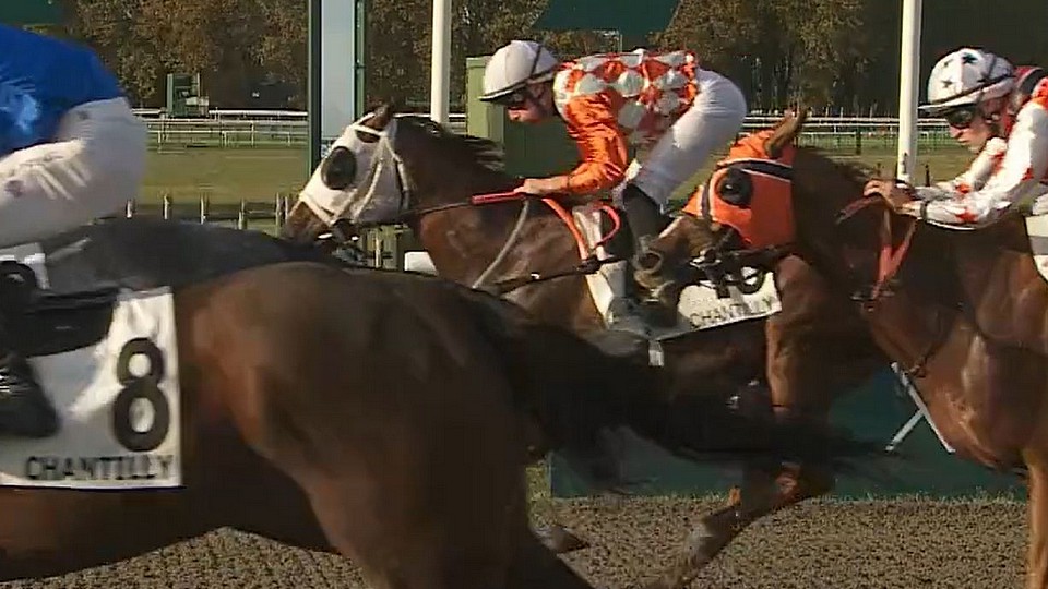 Chardon se umístil v Chantilly, česká dvojice v Quinté+ neuspěla
